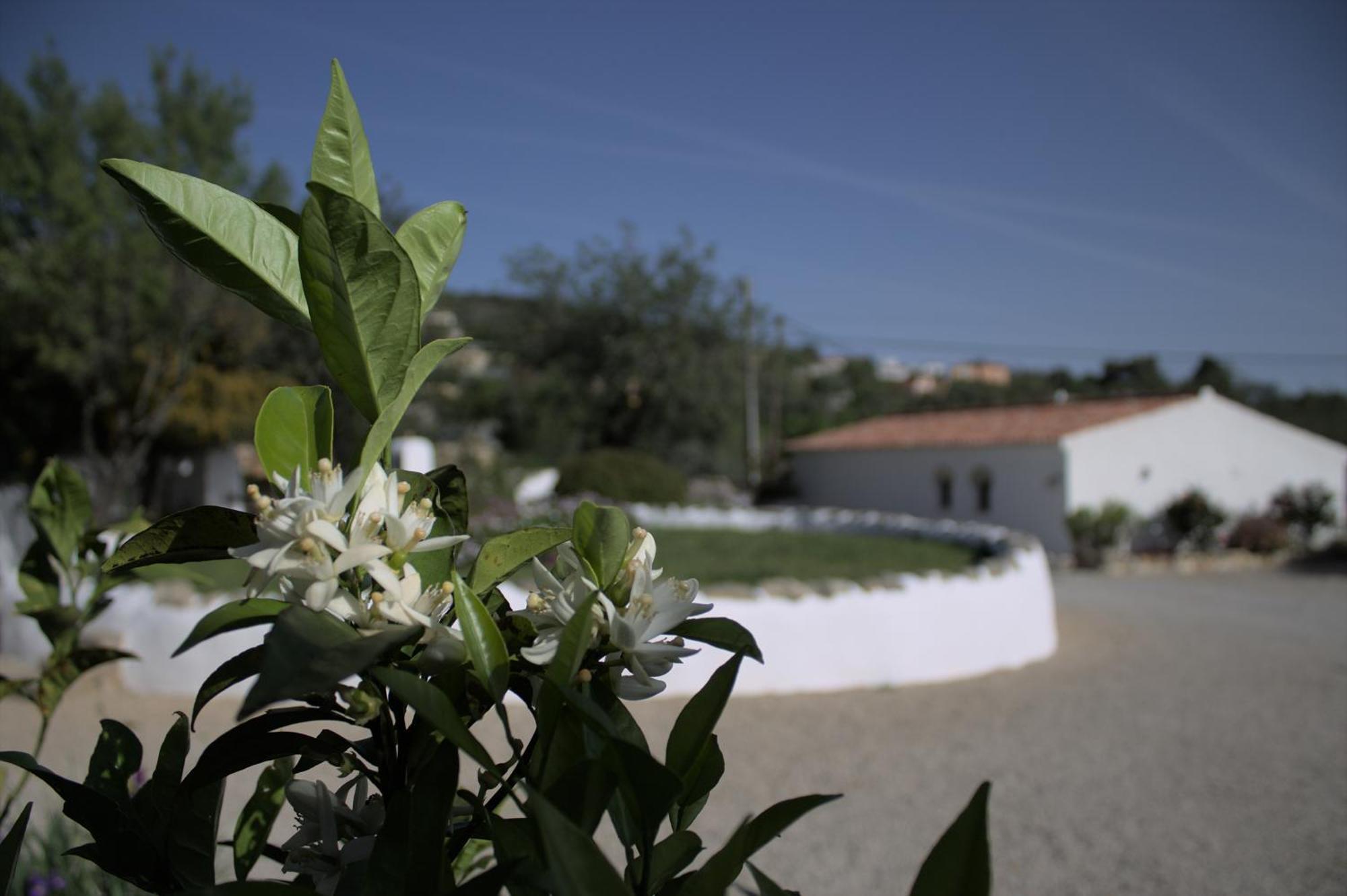 Cosy Farmhouse Quinta Da Eira 140 Years Old 楼尔 外观 照片